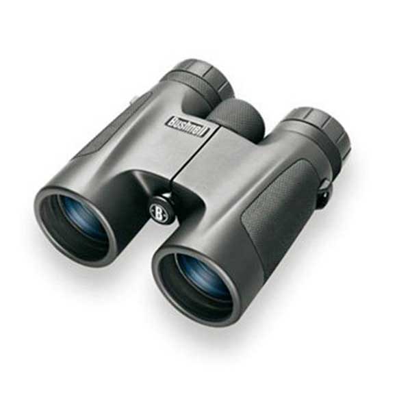 bushnell-8x32-powerview-2008-fernglas