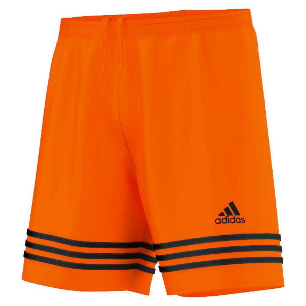 I have an English class Democratic Party Approval adidas Entrada 14 Short Pants Orange | Goalinn