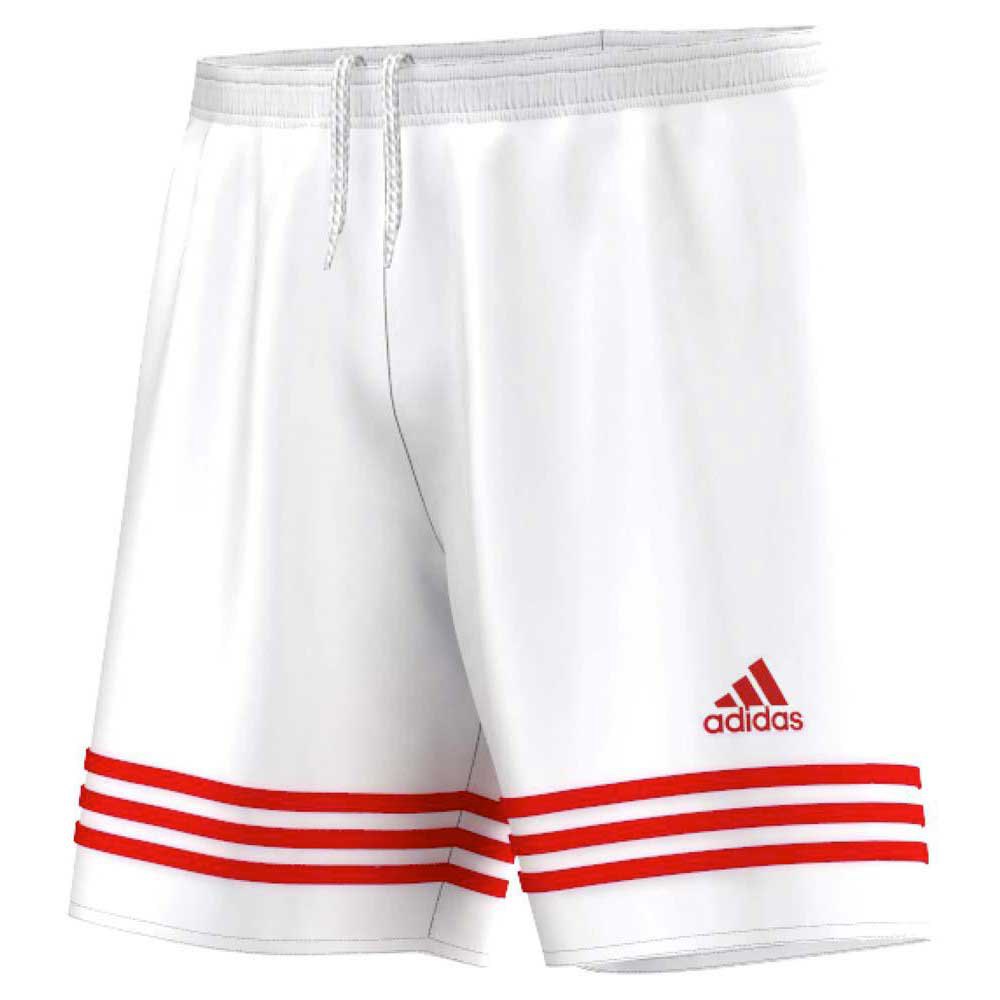 Desafortunadamente sensibilidad material adidas Entrada 14 Short Pants White | Goalinn