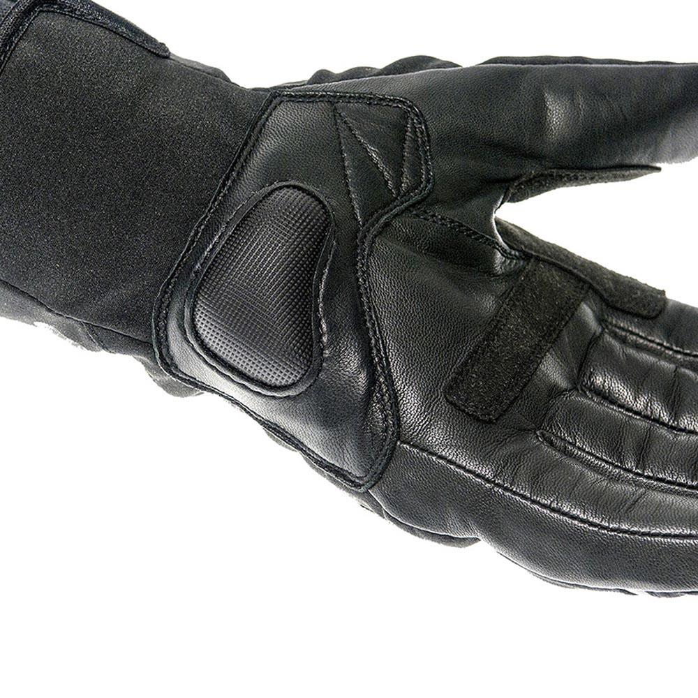 Garibaldi Versus Gloves