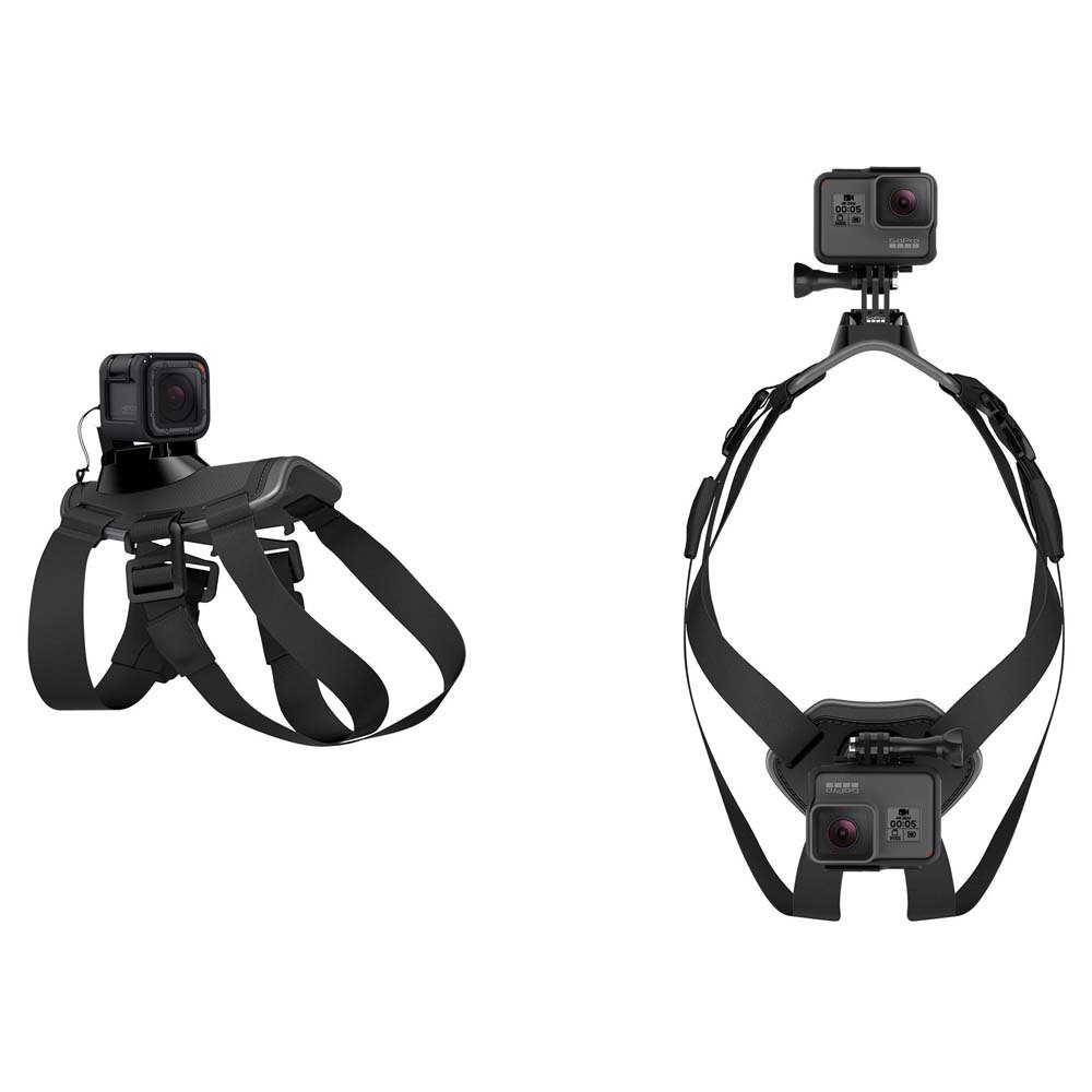 gopro-support-fetch-dog-harness