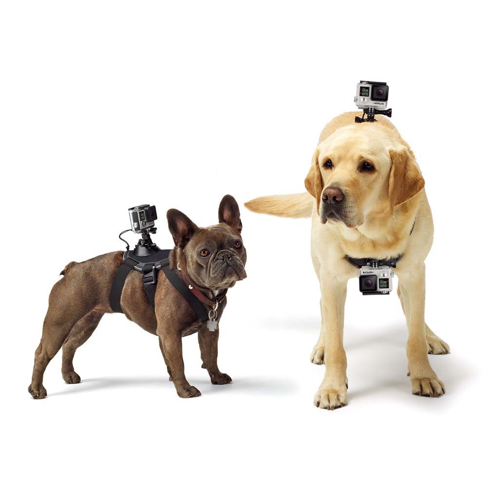 GoPro Support Fetch Dog Harness