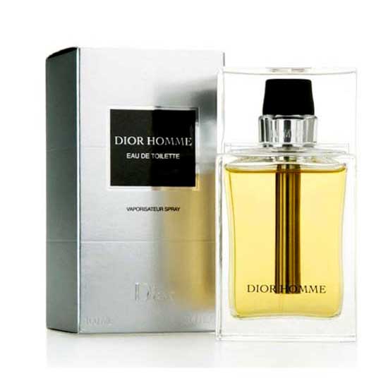 Huiswerk Idioot Bevriezen Dior Homme Eau De Toilette 100ml Black | Dressinn