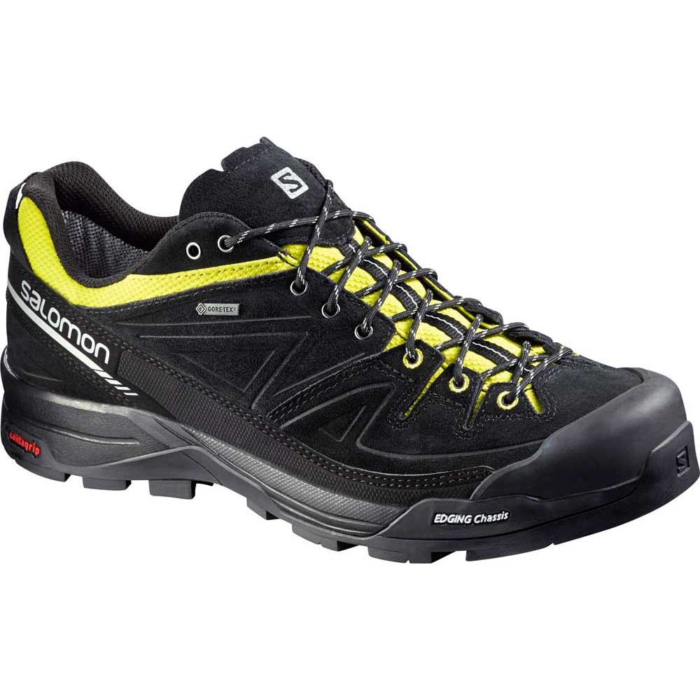 optager Ryg, ryg, ryg del skål Salomon X Alp LTR Goretex Hiking Shoes | Trekkinn