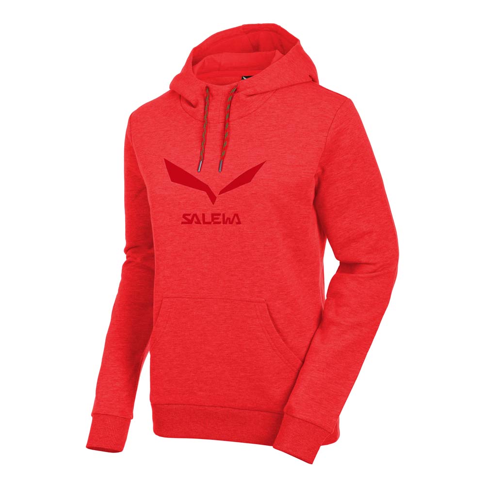 salewa-solidlogo-2-co-hoodie