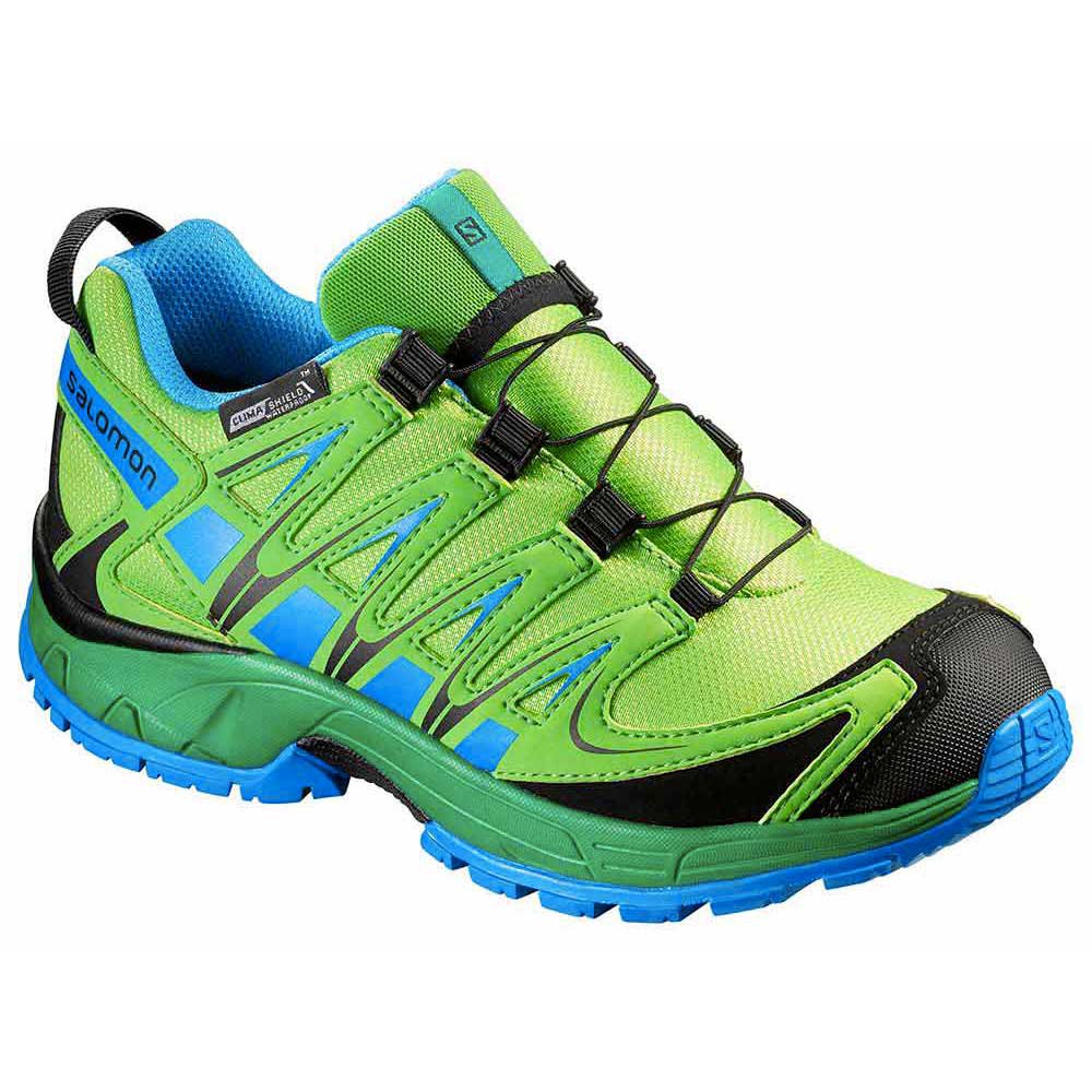 nabootsen Drijvende kracht Absoluut Salomon XA Pro 3D CSWP Hiking Shoes Green | Trekkinn