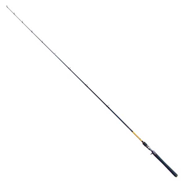 molix-skirmjan-freshwater-baitcasting-rod