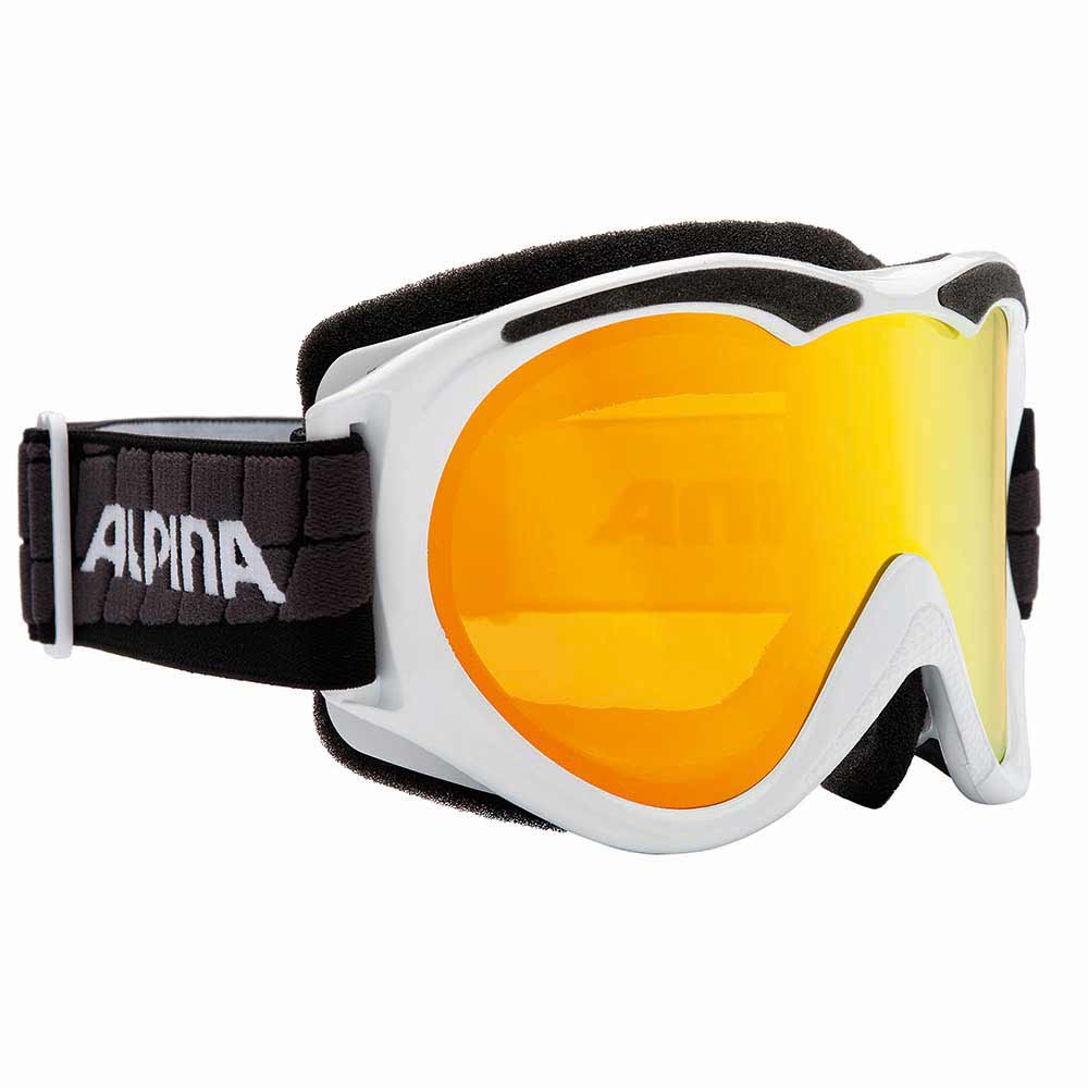 alpina-tyrox-r-ski-goggles