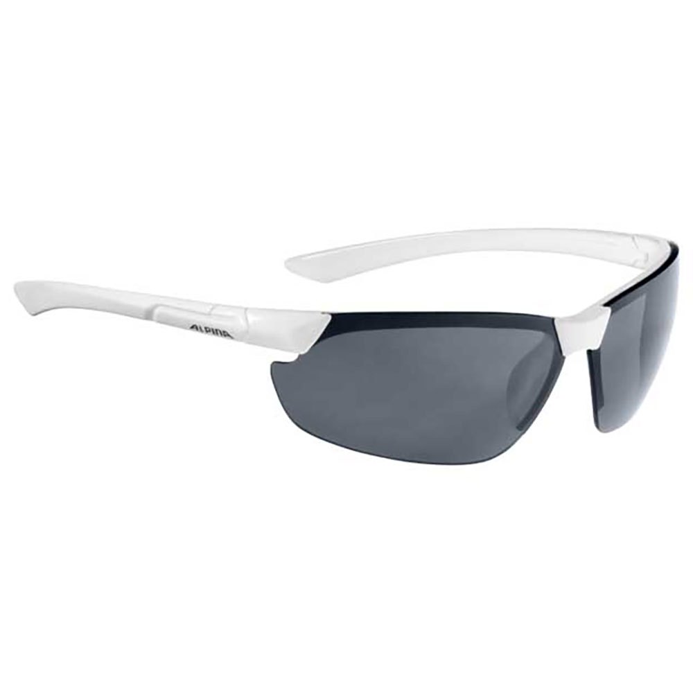 alpina-draff-sunglasses