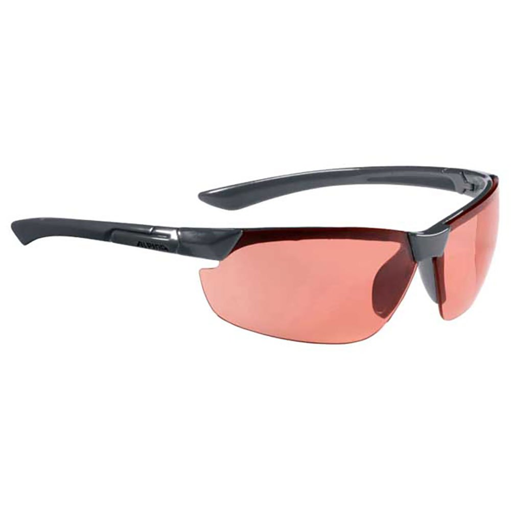 alpina-draff-mirror-sunglasses