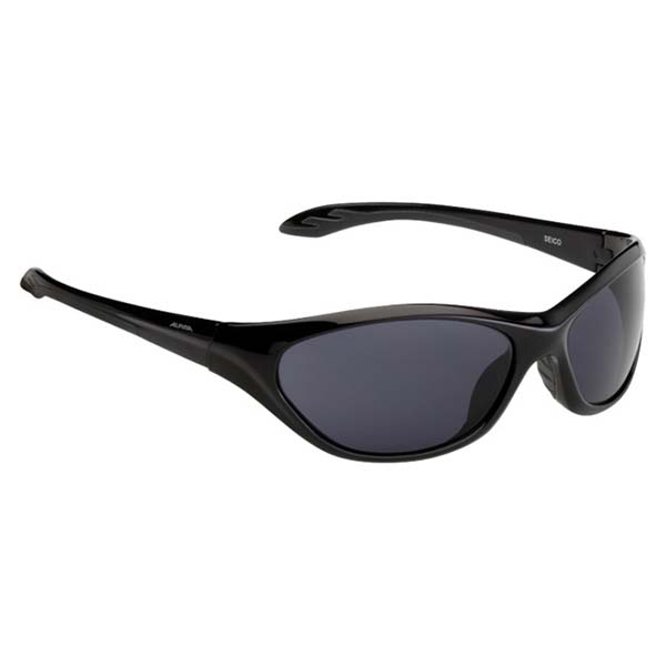 alpina-seico-sunglasses