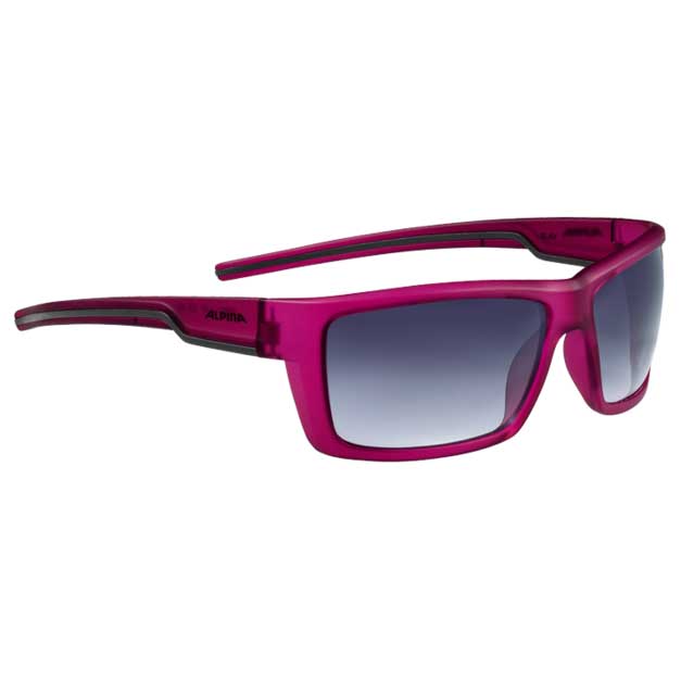 alpina-slay-sunglasses