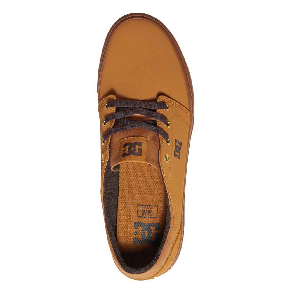 Dc shoes Trase NU Trainers