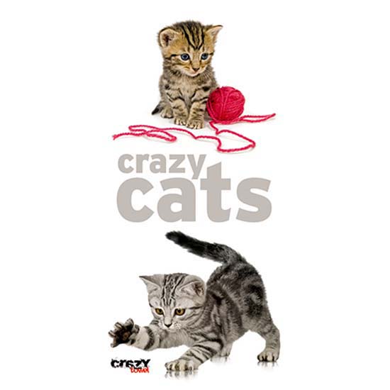 stt-sport-serviette-crazytowel-crazy-cats-compact