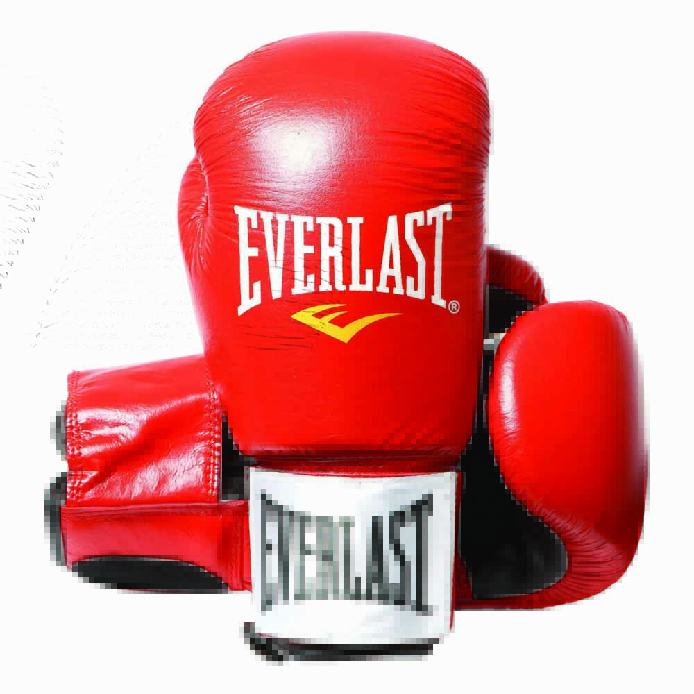 everlast-equipment-fighter-leather-boxing-gloves