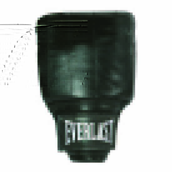 everlast-equipment-leather-pro-bag-boston-gevechtshandschoenen