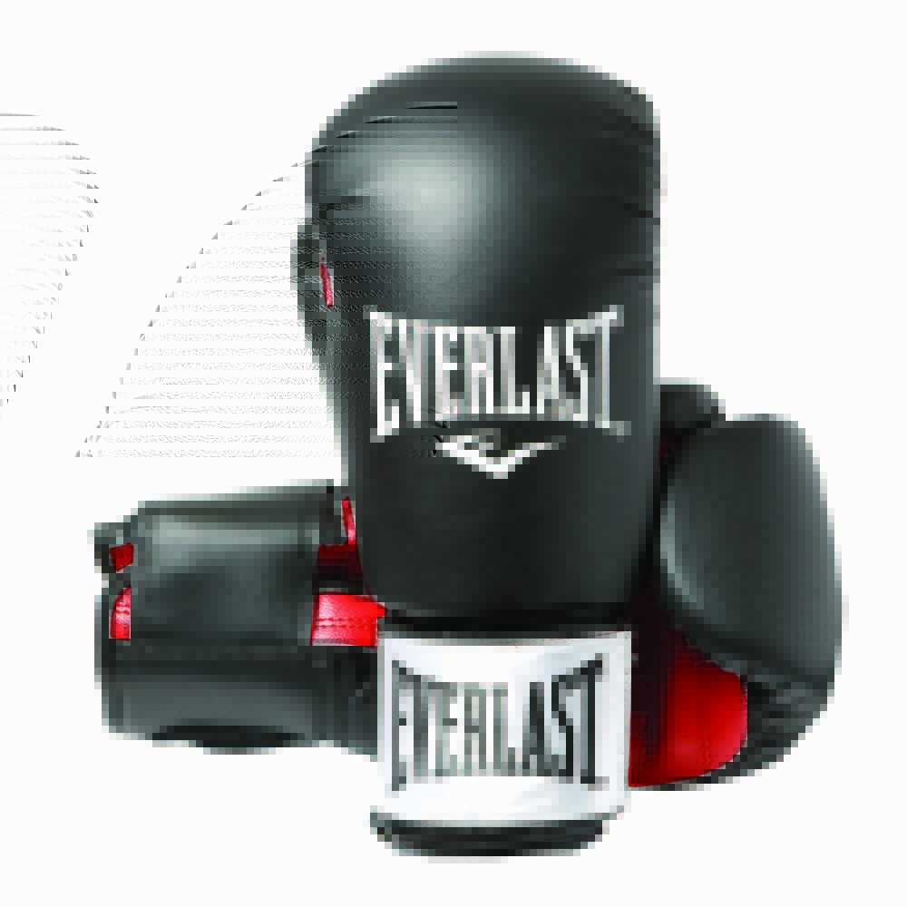 Everlast equipment Rodney Boxing Gloves | handsker