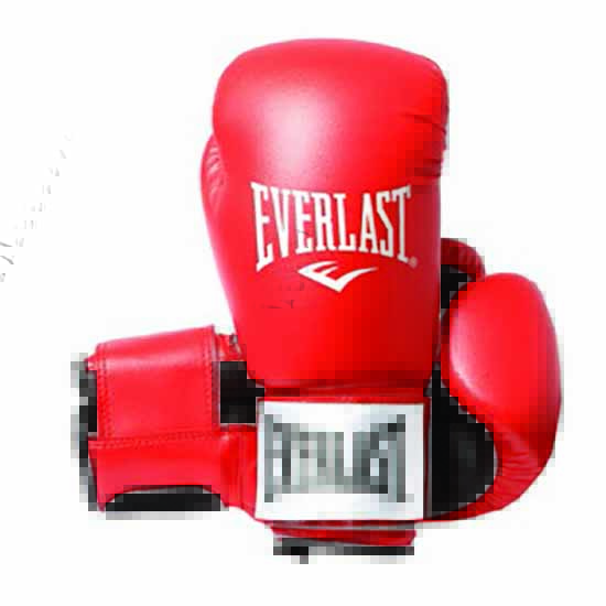 everlast-equipment-gants-boxe-rodney