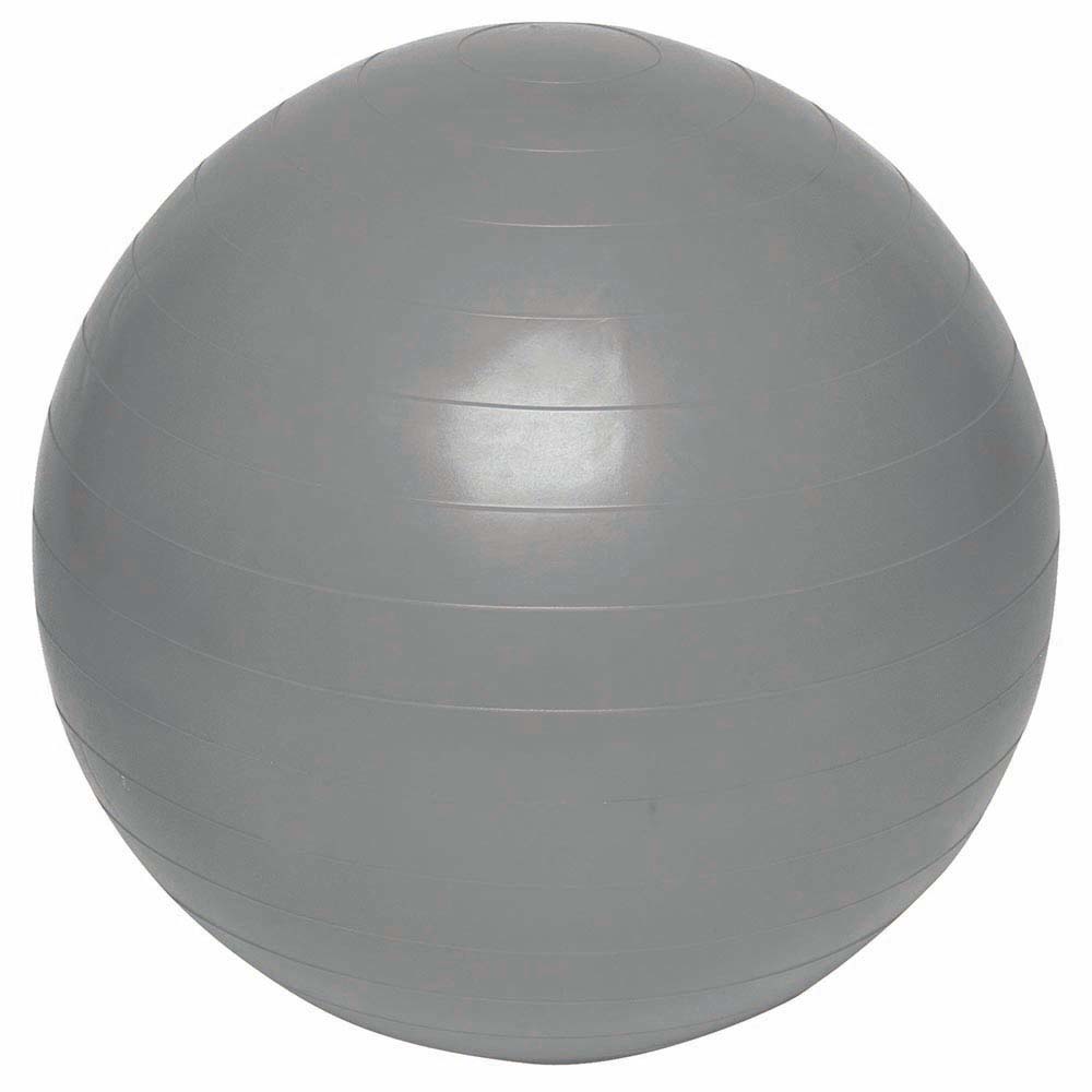 everlast-equipment-fitness-ball