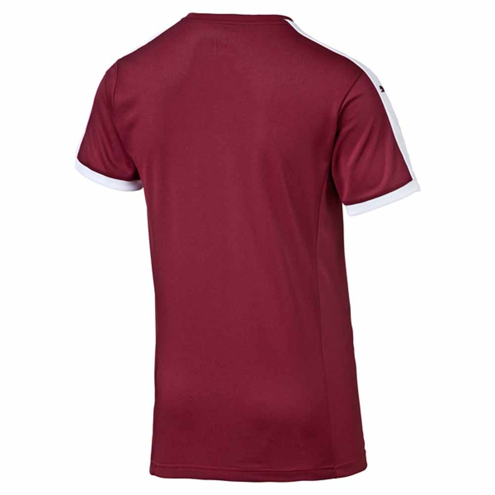 Puma Pitch Short Sleeve T-Shirt