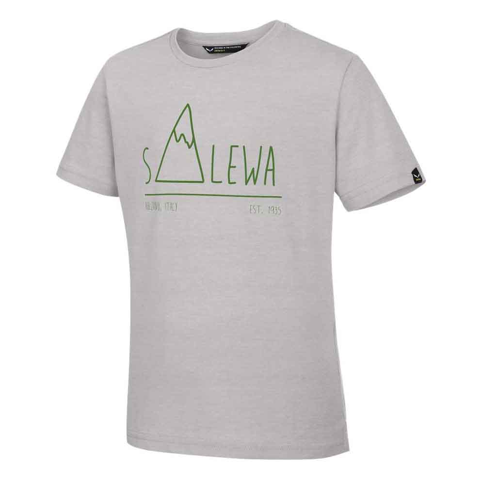 salewa-frea-peak-dryton-short-sleeve-t-shirt
