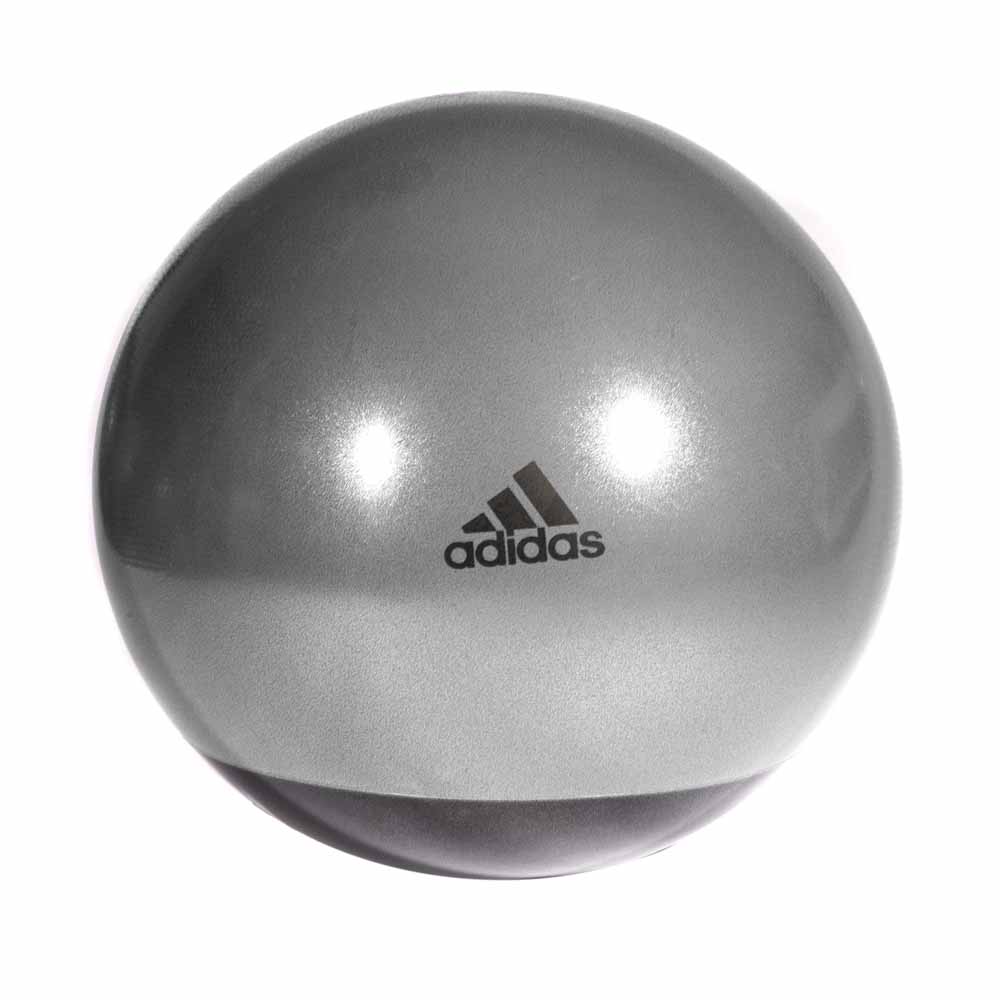 adidas-premium-gymball