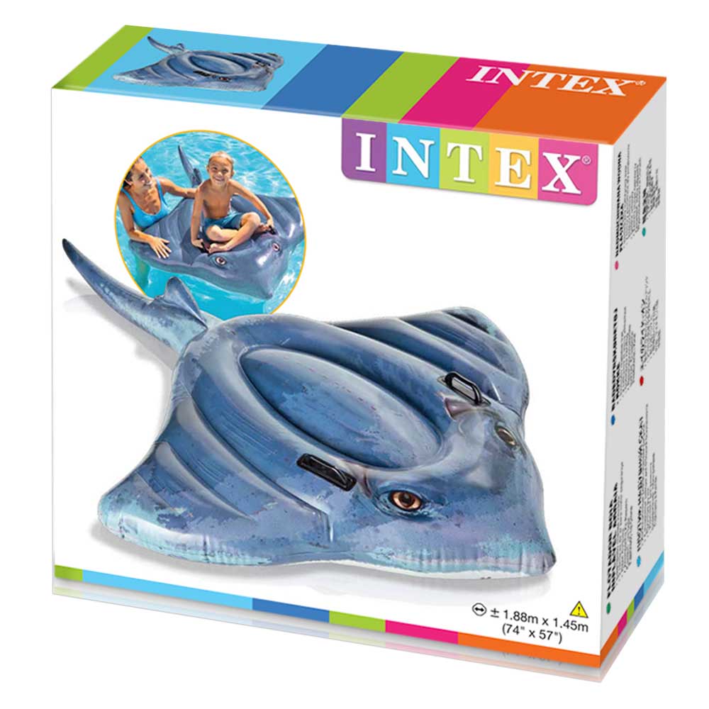 Intex Peix Raig