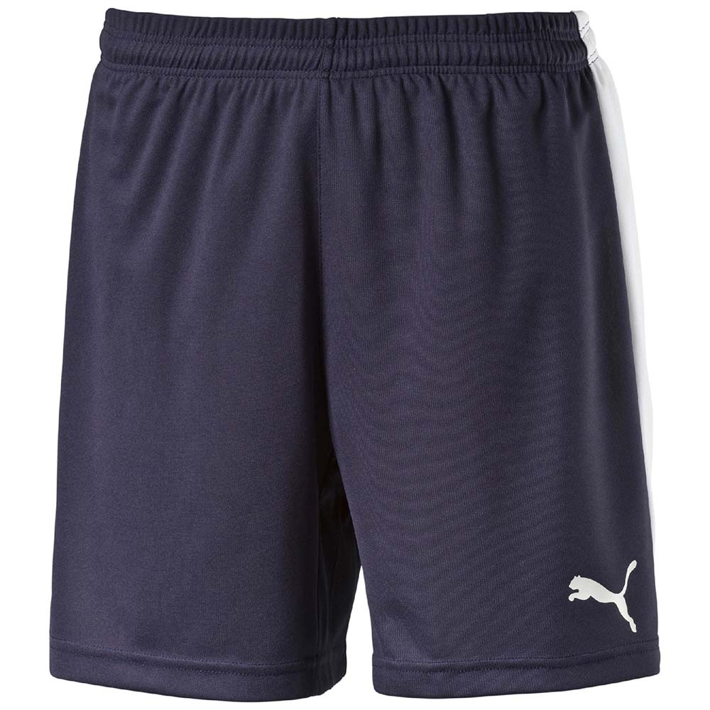 puma-pitch-shorts