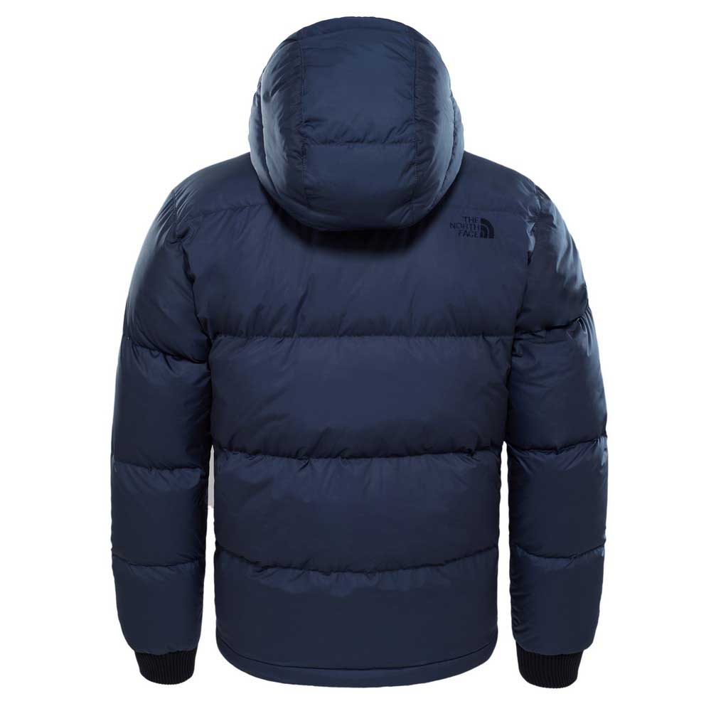 The north face Anti Freeze Down Jacket