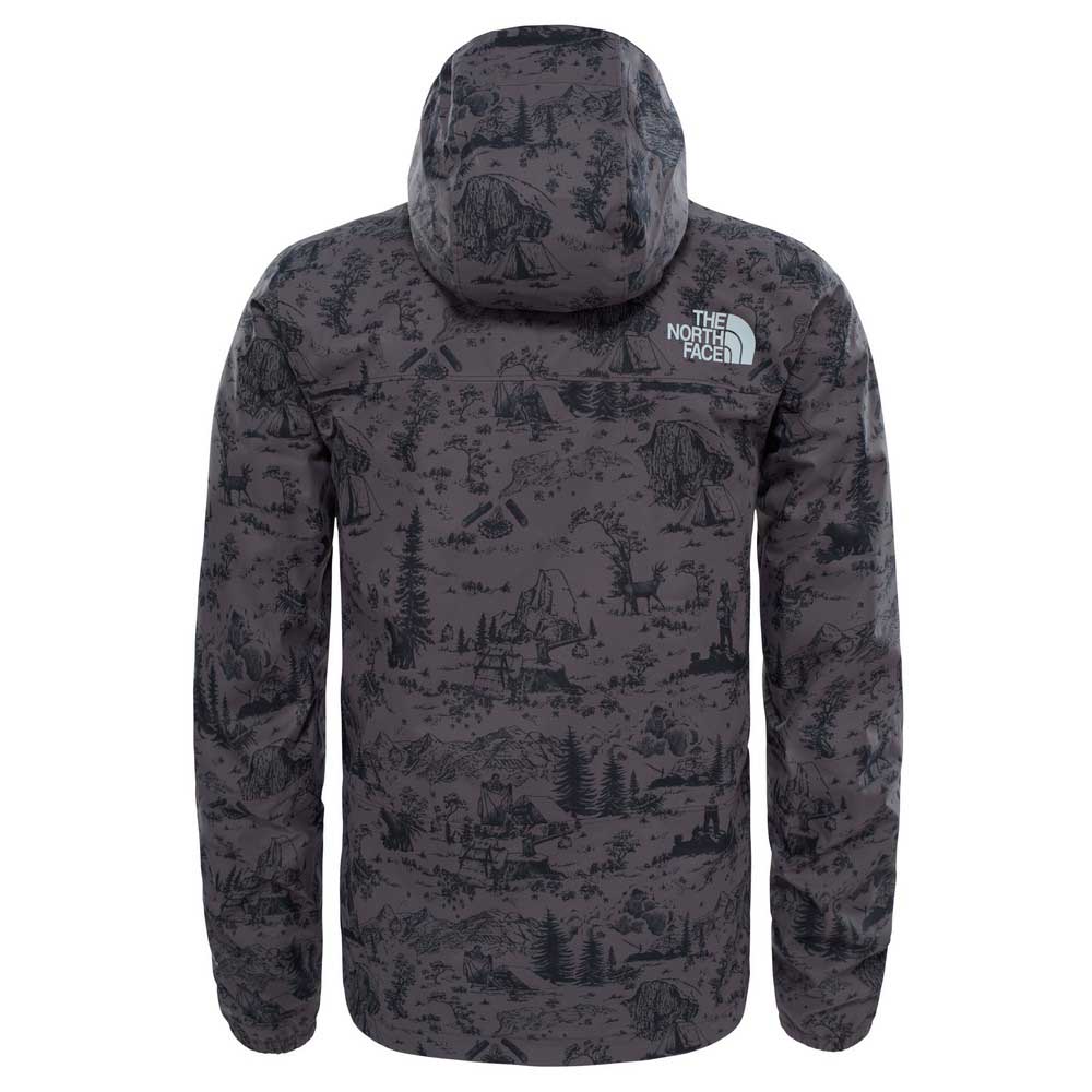 The north face 1990 Mountain