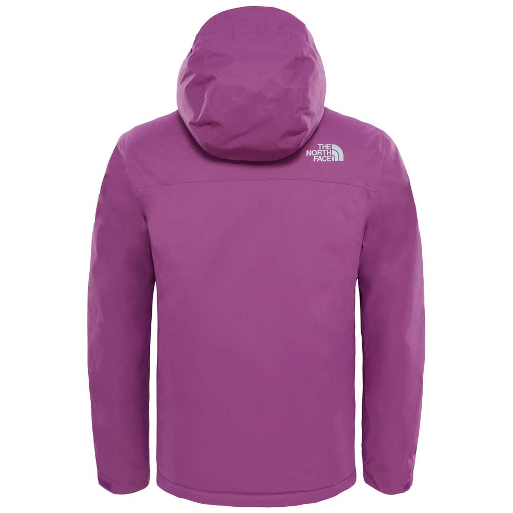 The north face Snowquest Jacke