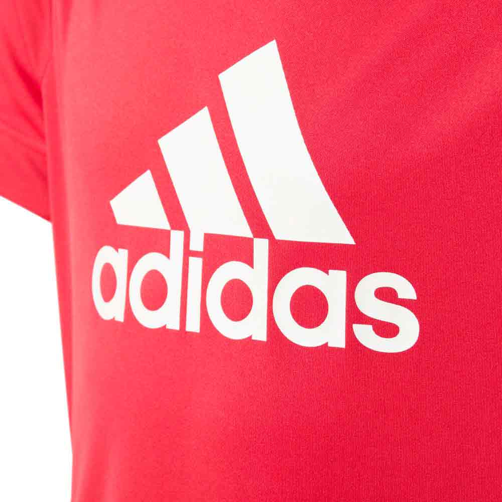 adidas T-shirt Manche Courte Training Logo
