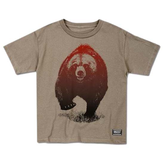 grizzly-camiseta-manga-corta-skies-cub