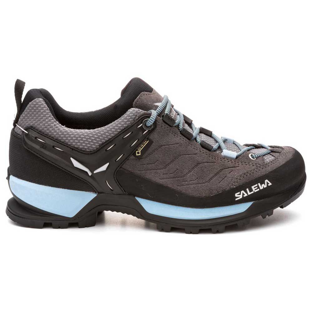 Salewa MTN Trainer Goretex Hiking Shoes