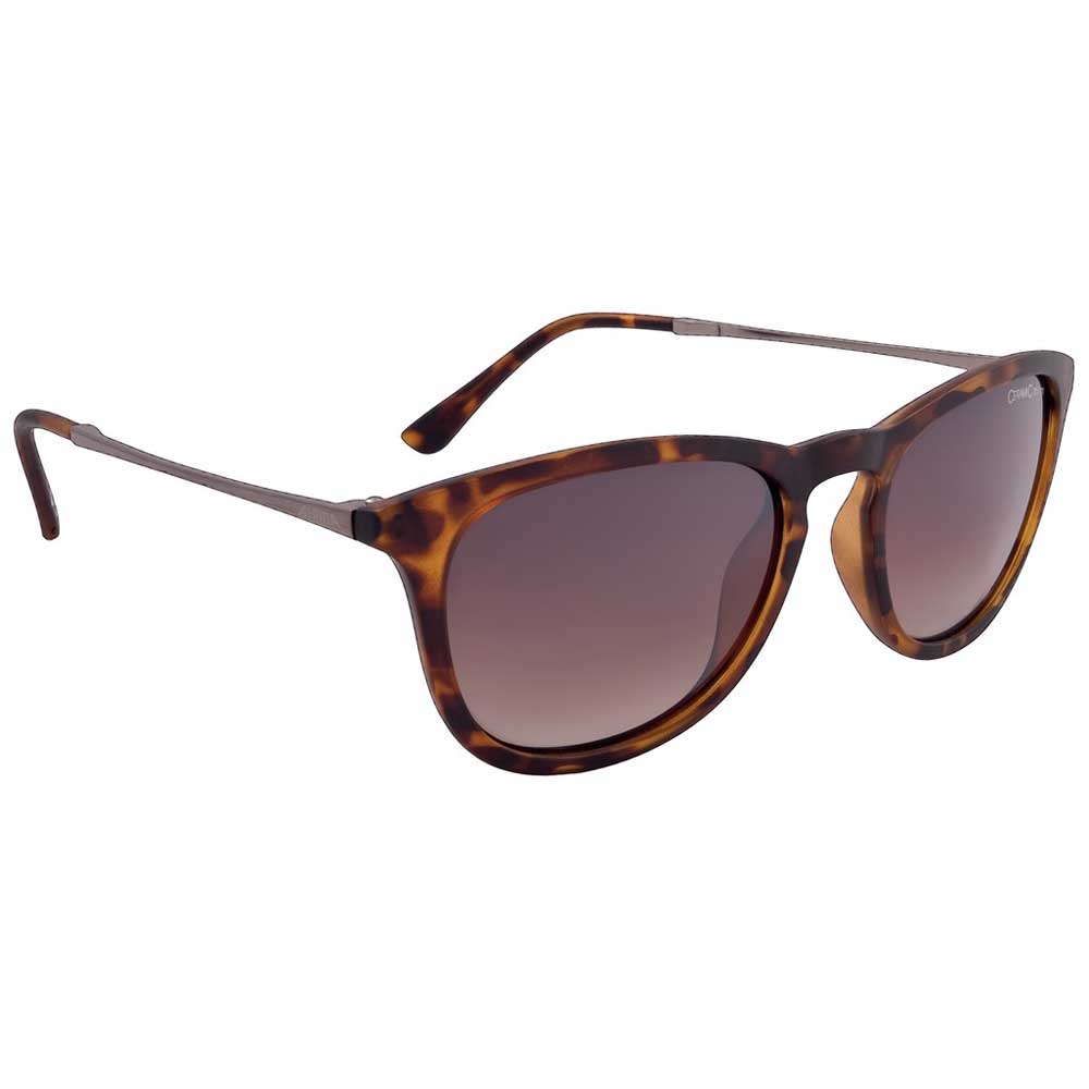 alpina-zaryn-mirror-sunglasses