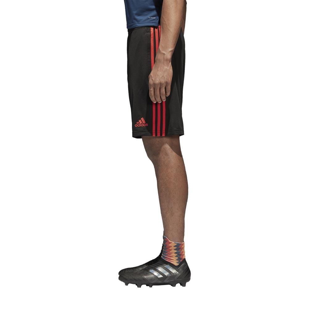 adidas Spain Training Shorts