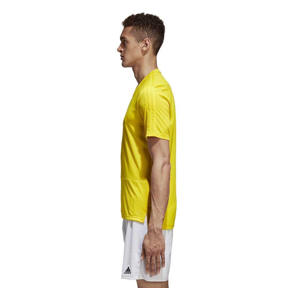 adidas Condivo 18 Training T-shirt med korta ärmar