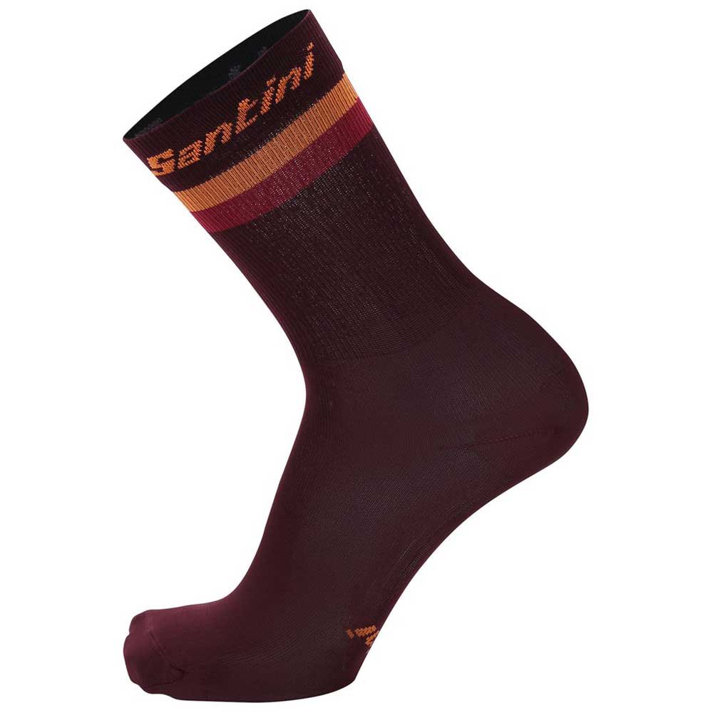 santini-terra-eroica-socks