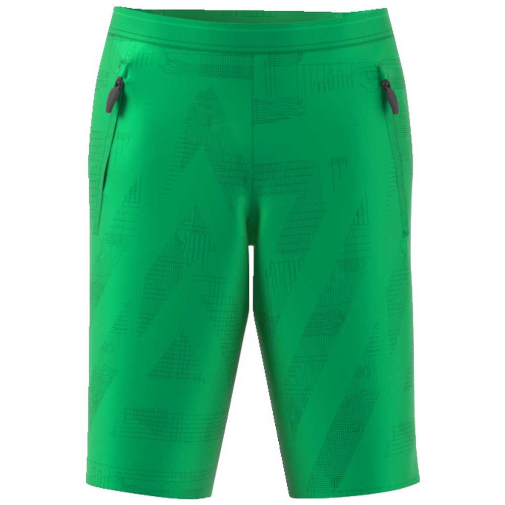 Cubeta Oxidar Treinta adidas Pantalones Cortos Terrex Endless Mountain Verde| Runnerinn