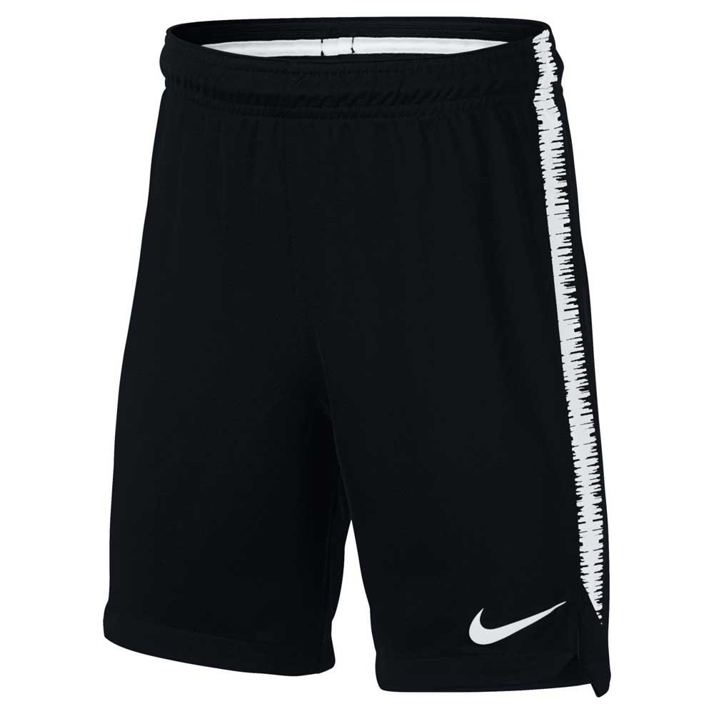 Gracias Derecho moneda Nike Pantalones Cortos Dry Squad 18 | Goalinn
