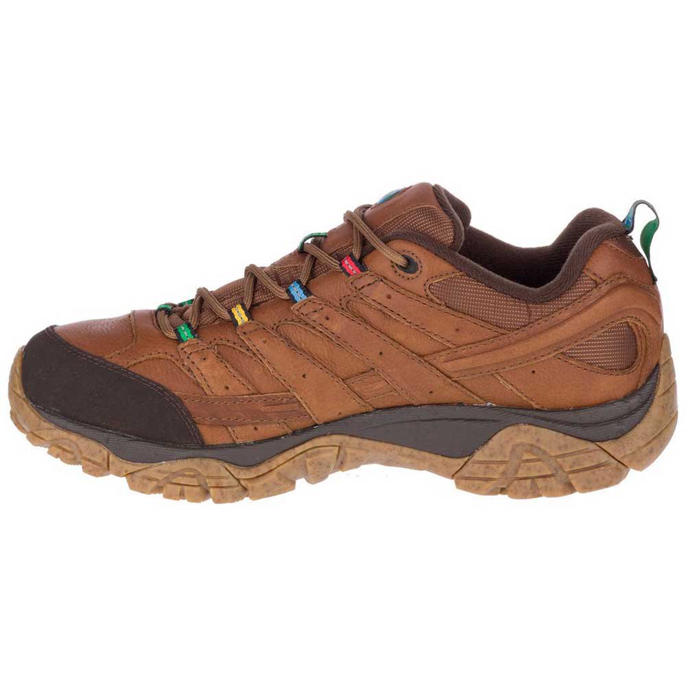 Merrell Moab 2 Earth Day Hiking Shoes