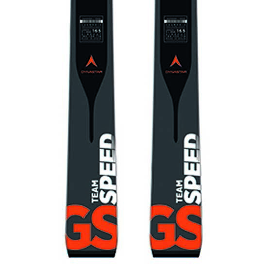 Dynastar Speed Team GS R20 Pro+NX 10 B73 Junior Ski Alpin