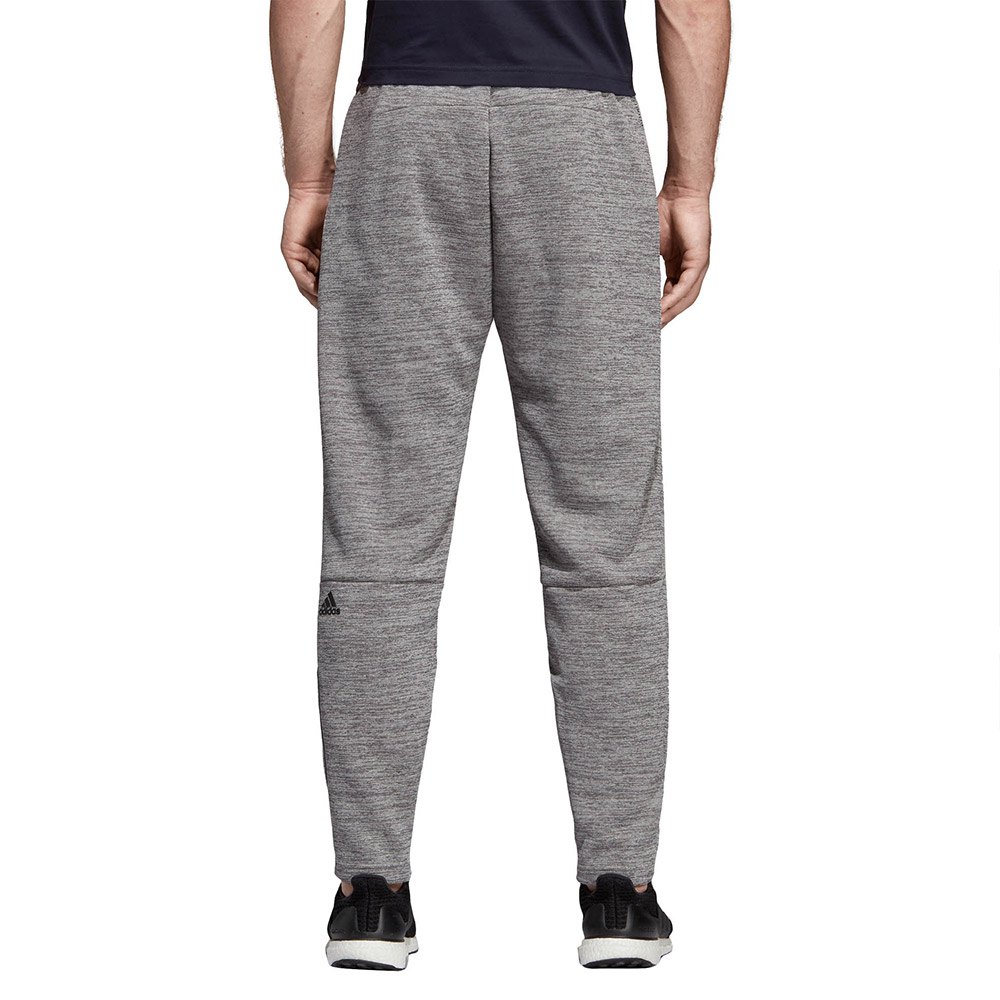 Cape ørn skøn adidas Sportswear ZNE Regular Long Pants Grey | Traininn