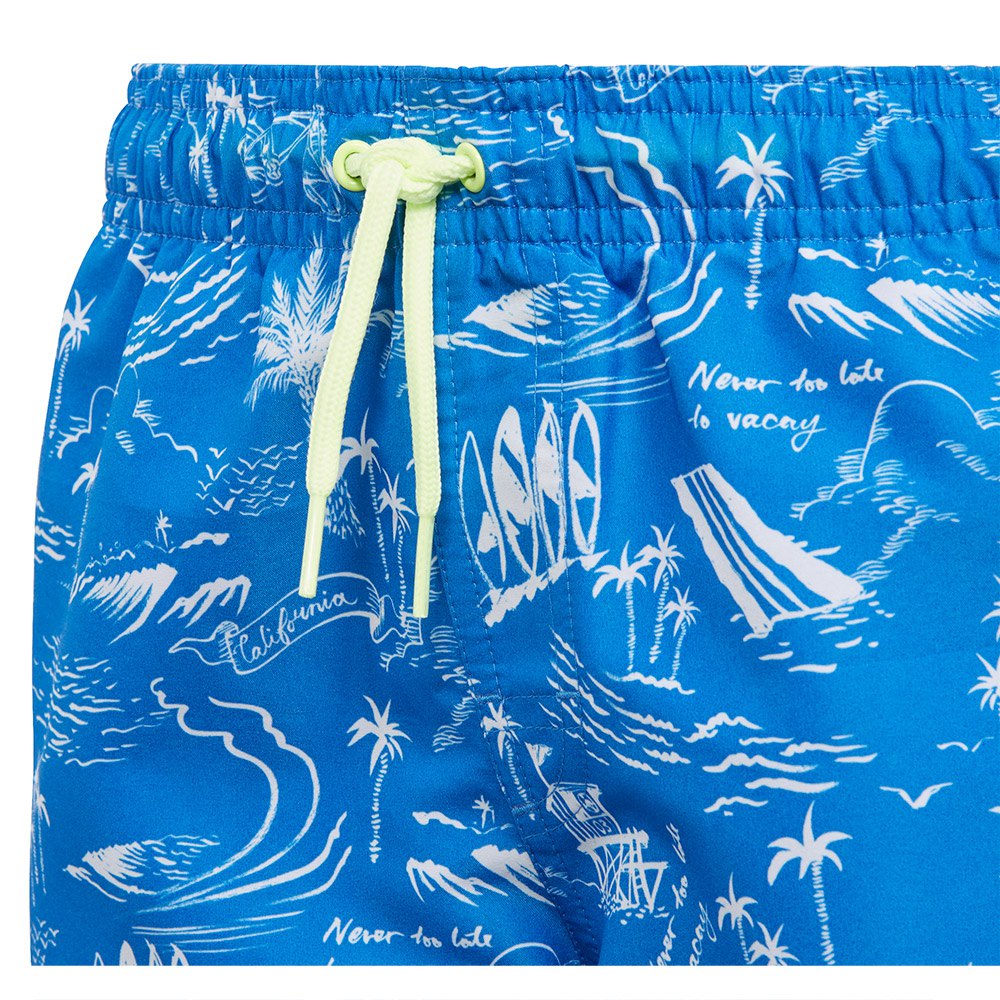 adidas Graphic Swimming Shorts
