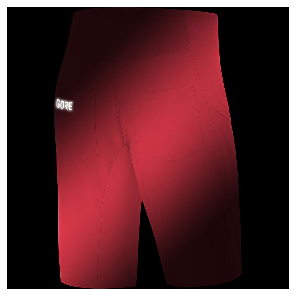GORE® Wear C3 Trail Shorts