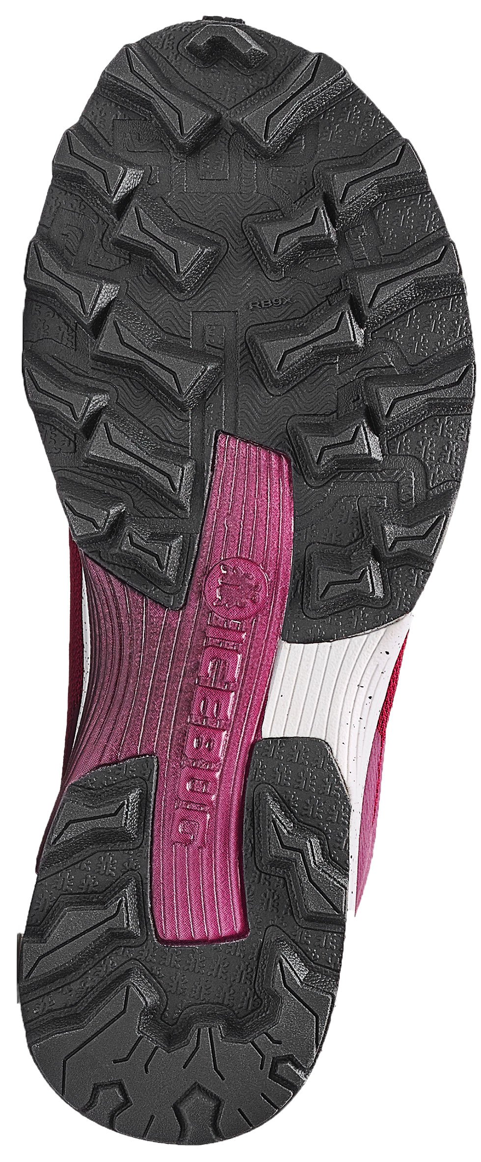 Icebug DTS5 RB9X Trail Running Shoes