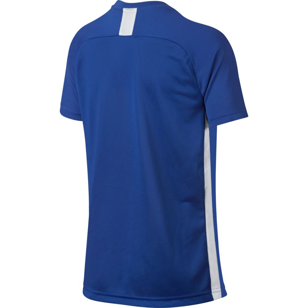 Nike Dri-Fit Academy Short Sleeve T-Shirt