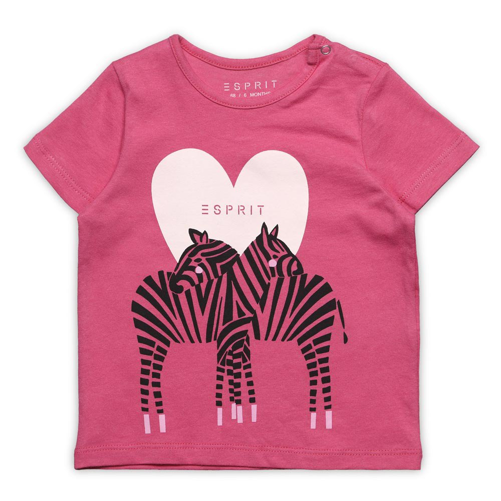 esprit-love-zebras