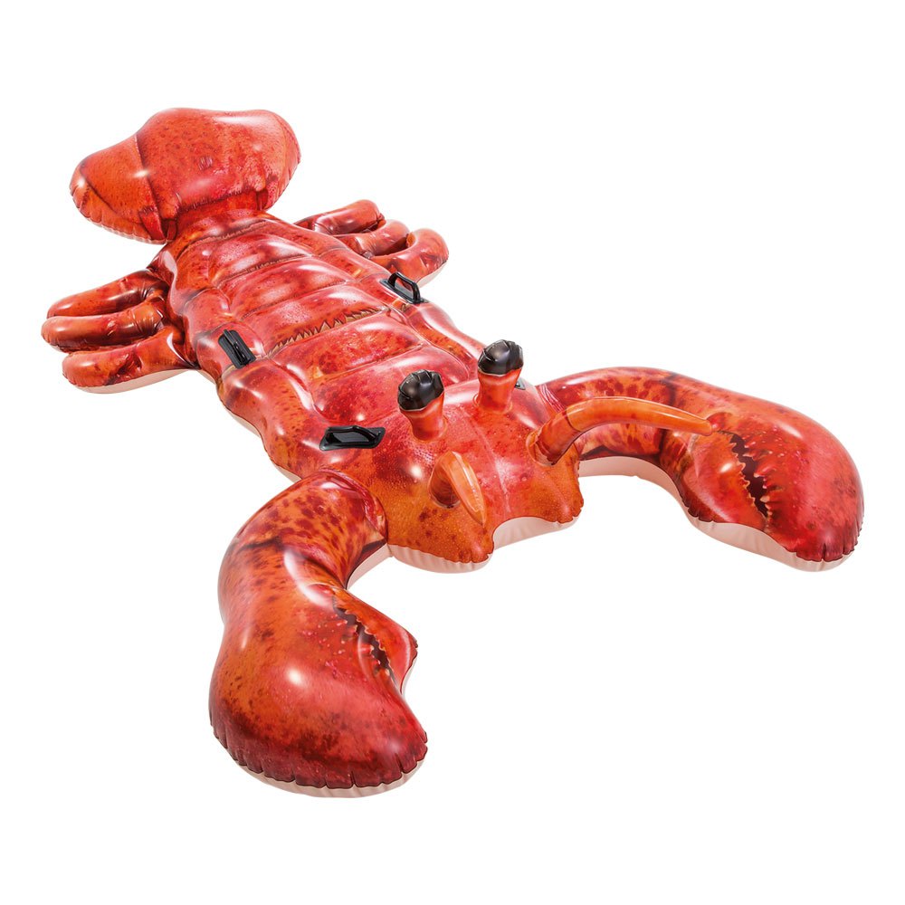 intex-photorealistic-lobster