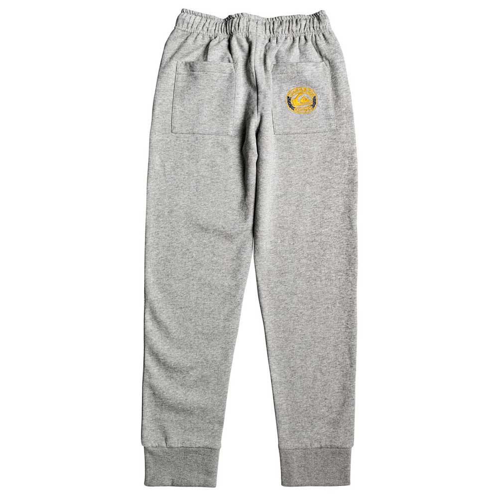 Quiksilver Tassie Gully Pant Youth